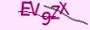 validcode
